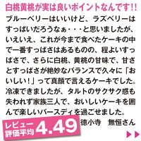 お客様からのレビュー