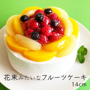 ԑ݂ o[Xf[P[L 14cm 7̃t[ct[o[ aP[L XC[c A`[YP[L fR[VP[L LO LO P[L Mtg NX}X l q 