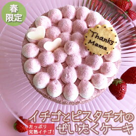 季節限定 誕生日ケーキ バースデーケーキ 母の日 苺とピスタチオのケーキ 14cm洋菓子 プレゼント 春ギフト スイーツ 苺 ストロベリー 記念日 ケーキ ギフト 大人 子供 かわいい 結婚記念日 インスタ映え お取り寄せスイーツ