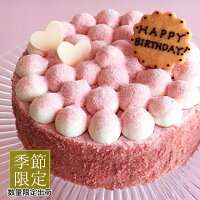 季節限定春ケーキ苺とピスタチオのケーキ14cm