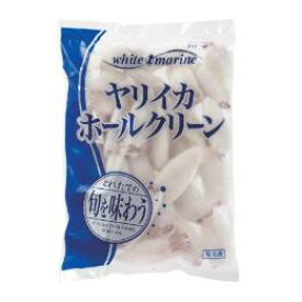 【冷凍】やりいか ホール クリーン 1kg | ヤリイカ いか イカ 烏賊