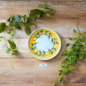 ysz~`v[g Fx[X  ceramica rotondo 17 17cmx2cm | C^A  A}tB C^AY pottery ceramica  nhCh handmade