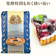 【送料無料】【同梱不可】 カプート ピッツェリア ティーポ “00”25kg 青 Caputo 【お届け日時指定不可…