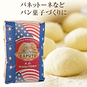 yz ysz Jv[g }jgo eB[|0 25kgywszyܖ26N65z | Caputo e Ɩp  p sU pX^ P[L َqȂǂ