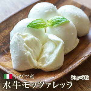 yzyszy①z 250g {bR`[j@(50gx5) ×12SET tBIfB}[] bc@ fB ubt@@DOP dB@T@g[ y145`48gzyAX