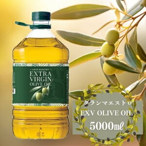 yzO}GXg GNXg @[W I[uIC 5L@| EXV GLXg e Ɩp ybg{g Gran Maestro C^A