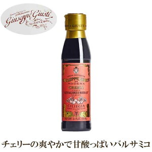 yW[byEWXeBЁz oT~R\[X  150ml | `F[ GIUSEPPE GIUSTI C^A | |  oT~R N[ \[X
