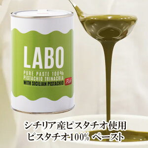 ysX^`I100gpzyYsgpzsXeB sX^`Iy[Xg 1kg LABO PURE PASTE PISTACHIO b sX^`I y[Xg C^A Pisti  WF[g P[L p