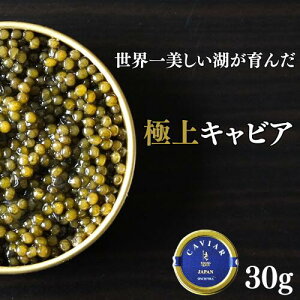 ◆【冷蔵】オシェトラ キャビア KALUGA QUEEN 30g缶・ロシアチョウザメ(パストライズ)|世界三大珍味 カルーガ クイーン 中国産