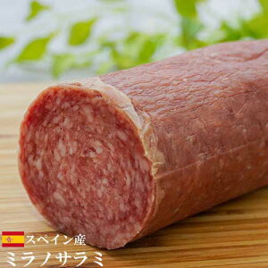 y①ztBIfB}[] XyCY T[ ~m ubN 650g-790g@| FDM T~ ܂ Ĉ pX^ sU sbc@ gbsO Ɩp ƒp