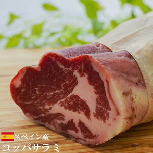 y①ztBIfB}[] XyCY Rbp ubN 550g-790g@| FDM T~ ܂ Ĉ pX^ sU sbc@ gbsO Ɩp ƒp