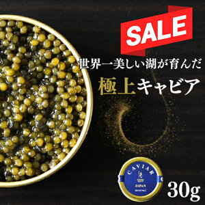 yX[p[Z[ԌI3480~3180~ zy①zIVFg LrA KALUGA QUEEN 30gʁEVA`EU(pXgCY)bEO咿 J[K NC[ Y