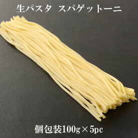 【冷凍】生パスタ スパゲットーニ 100g×5pcセット | パスタ pasta 冷凍パスタ