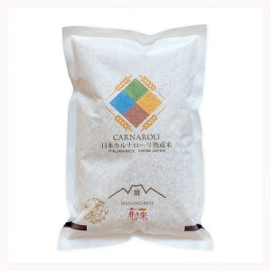 VY []Ji[ Ԃ̕ 1kg | `[Y]bg ]bg Y {Y Ji[