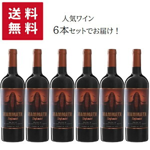 y 6{ZbgzMARE MAGNUM Mammoth Zinfandel IGT 750ml ysz | }[ }j }X Wt@f v[AB ԃC Wt@f v~eB[H Ԃǂ i y