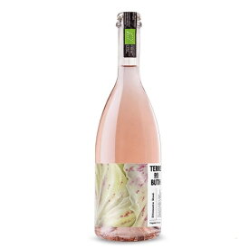 【よりどり6本以上、送料無料】 TERRE DEI BUTH FRIZZANTE ROSE 750ml | テッレ デイ ブース フリッツァンテ ロゼ ヴェネト州 グレラ ラボーゾ パーティー イベント BBQ 祭事 催事 スプマンテ 桜 春 レストラン スパークリングワイン ピンク