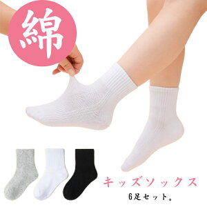 6Zbg q C XN[\bNX I[V[Y LbY \bNX wZp n   _炩 bV ʏ ʋC j̎q ̎q w Cxg ct w w X|[c\b