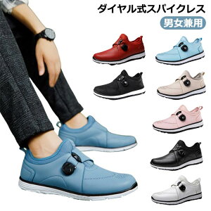 C 傫TCY St fB[X K  StV[Y 3E L tBbg _CXpCNX V[Y Y Xj[J[ ₷ h ϋv y rWlX^