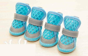  hbOV[Y C ^ ^ bV _炩 ʋC y ₷ ̌C ~ ی  ʋCQ C \bNX pbg X|[c ybgp pi