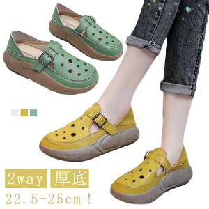  yʐ݌v JWAV[Y 2way  lԍHw  T_ V[Y 5cm ~ Od r ʋCK L T_ ʋC t  EH[LOV[Y T_ Xj[