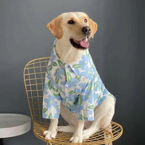   ^ ^ Ђ U MǑ΍ j̎q ̎q 킢  ĕ 傫TCY