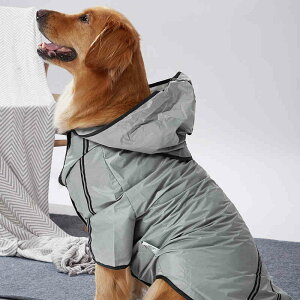 ^ ^ ^ CEFA  CR[g ̕ hbOEFA J ^ ^ ^    JH h ˔t ~J  |` AE^[ hbO Č t