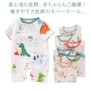 j̎q  p[X O{^ q xr[ Ԃ {fB[X[c  V Jo[I[ c xr[  Rbg OJ [EFA LbY  킢pW}