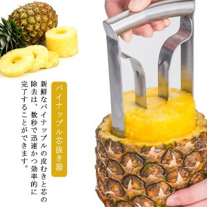 烊[o[ XeXX`[ t[cRA[[o[ pCibv pCibvc t[cc t[cc[ pCibvRA[[o[ pCibvJb