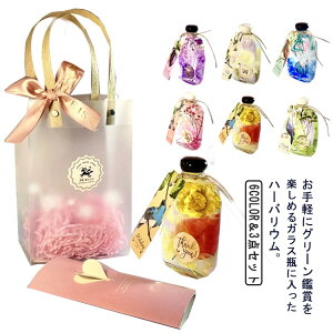 n[oE ސEj  CeAG n[oE  u 킢  hCt[  v[g j a ޏ Vzj vU[uht[ zj