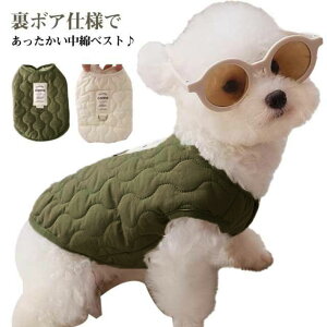  ȃxXg hbOEFA {A xXg g іh~ h Ȃ AE^[ ^ EFAn[lX  LeBO n   hbOEFA H ~ ybg  