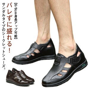 蕝L Y ₷ T_ vC V[NbgV[Y V[NbgV[Y {v  50 h 40 ɂ Ȃ ʋC b 6cm 8cm gȂ V[Nbg