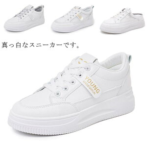  w Xj[J[ bV v ʊwC zCgO[Xj[J[ C Xj[J[ _ ʋC d  JWA ʊwpXj[J[ 4cm IV ȒP 