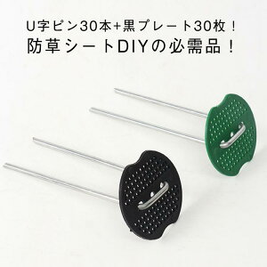 30{Zbg 15cm s UsY{ەt Us R^s U^ }Y wAsY V[g hV[g Œp hV[gs v[gt lHŗp