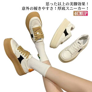 fB[X JWAV[Y V[Y Xj[J[ C V[Y V[Y EhgD RtH[g Xj[J[ RtH[gV[Y Xj[J[ ؍t@bV g