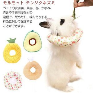   ybg  lR ^ ˂ L  畆 ybg D  킢 ی ETMpGUxXJ[ pi ETMpPA ETMpi ybgpi