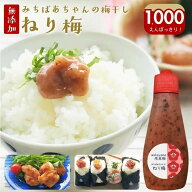 ＼1000円ポッキリ／容器が変更となるため現品売りつくし価格 無添加『梅肉 みちばあちゃんのねり梅』メー…