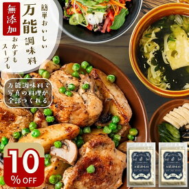 ＼10％オフ！／無添加 スパイス調味 時短『万能調味料 2袋』国産アウトドア キャンプ BBQ 自宅 調味料 スパイス 香辛料 薬味 料理 キャンプ調味料 ギフト プレゼント 樽の味 パウダー どんな料理もカンタン 送料無料【メール便対応1通1個まで】