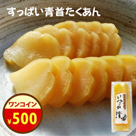 漬物の日＼500円ポッキリ！／28日まで！無添加『すっぱい 青首 たくあん』乳酸発酵 の 沢庵 昔ながらの 天日干し 大根 国産 原料 100％ 長期 発酵 熟成 美味しい 漬物 古漬け こんこ すっぱい 味わい で 甘くない 樽の味