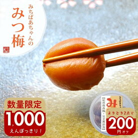 ＼1000円ポッキリ！／無添加 『みちばあちゃんの梅干し「みつ梅」』 はちみつ梅 梅干し 樽の味 子供 塩分ひかえめ 熱中症対策 夏バテ防止 南高梅 薄皮 柔らかい はちみつ ハチミツ 蜂蜜 はちみつ梅干し 甘い 減塩 贈り物 食べ物 ギフト お取り寄せ お歳暮 お歳暮ギフト