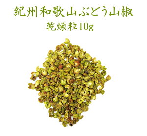 wԂǂR10gxy[֑Ή16܂ŁzR̖{a̎Rłꂽɏ̂ԂǂR̎̒łɌIꂽR̎𒚔JɊ܂BR̎