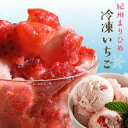 自宅でいちごアイスが作れる『冷凍いちご500g』冷凍便 減農薬 まりひめ 有機栽培 イチゴ 手作り スムージー 氷 冷凍 …