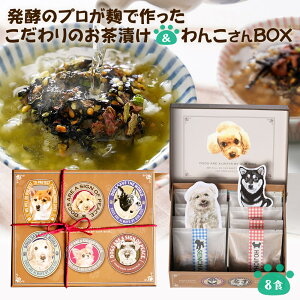 w Dɑ Y Ђ Mtg  BOXx  ObY v[g S Y Ђ Mtg M̖ 2 8H IB 썂~ 蕨 Hi O  Ԃ 蕨 v
