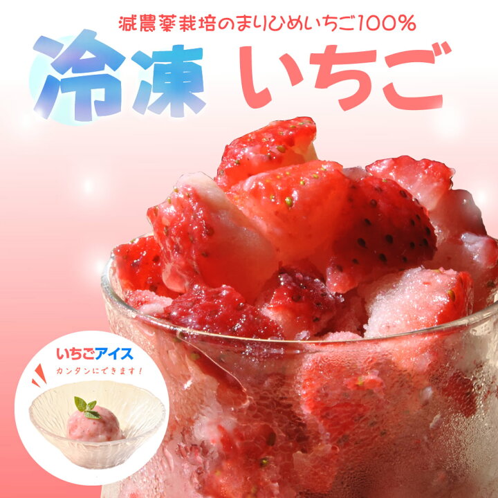 楽天市場】自宅でいちごアイスが作れる『冷凍いちご500g』冷凍便  