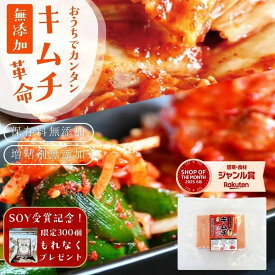 ＼全員プレゼント／樽の味ショップ・オブ・ザ・イヤー受賞記念『キムチ革命をご購入でふりかけ革命プレゼント』2月11日まで キムチ 無添加 お家で手作り キムチの素 国産 乳酸菌 発酵食品 韓国総菜 キムチ鍋 唐辛子 簡単 キムチ 送料無料 【メール便対応1通1個まで】
