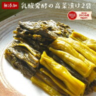 無添加『乳酸発酵 の 高菜漬(2袋セット☆☆)』 送料無料 乳酸 発酵 漬物 長期 発酵 熟成 美味しい 高菜漬…