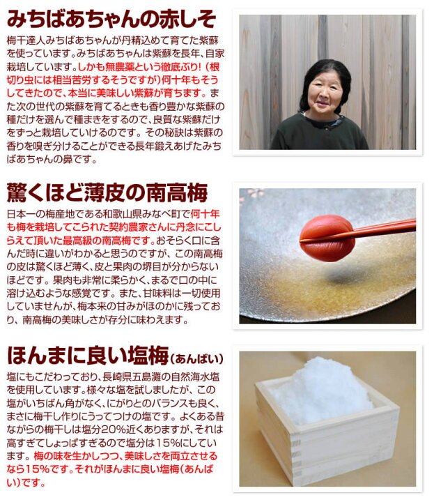 最も完璧な 梅肉 みちばあちゃんのねり梅 しそ梅 120g 梅干し 紀州南高梅100% 無添加 人気 おすすめ materialworldblog.com 最も完璧な 梅肉 みちばあちゃんのねり梅 しそ梅 120g 梅干し 紀州南高梅100% 無添加 人気 おすすめ materialworldblog.com