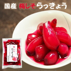 『梅しそ らっきょう 130g入り』メール便送料無料【メール便対応1通2個まで】国産 紫蘇 無添加 カレー お酒 食べ物 ギフト お取り寄せ 食品 グルメ 樽の味 無添加食品 ほぼ1000円ポッキリ ポイント消化 お試し