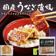 200クーポン利用で＼最大1200円オフ／いまだけ3280円→2280円！『国産 うなぎ蒲焼 セット』メール便送料…