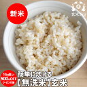 【無洗米玄米】玄米なのに「無洗米」令和5年度福島県産　簡単に炊ける無洗米玄米5kgやわらか玄米 送料無料 たさぶろう