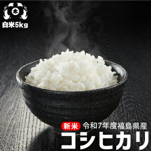 令和7年度 福島県産 コシヒカリ 米 5kg(5kg×1袋)送料無料 米 お米 送料無料 お米 5kg お米 送料無料 こめや たさぶろう